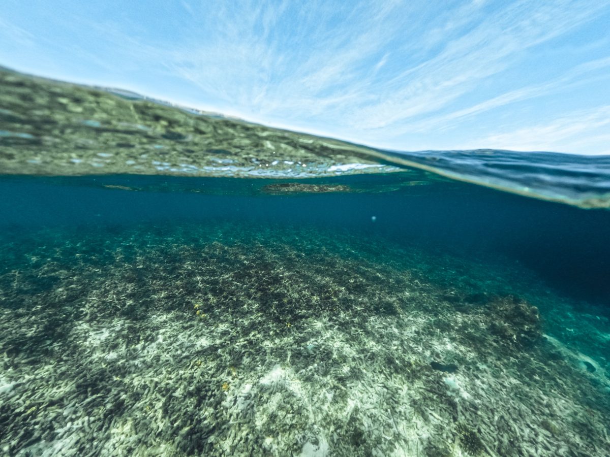 koumarades beach underwater koumarades beach underwater