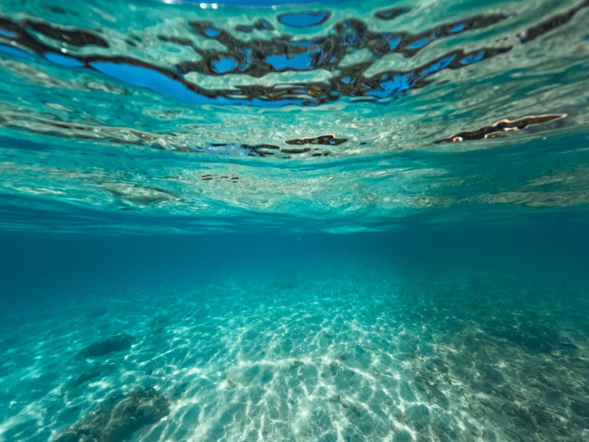 underwater koukos beach underwater koukos beach